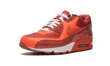 Air Max 90 QK "STEVE NASH"