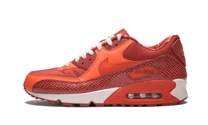 Air Max 90 QK "STEVE NASH"