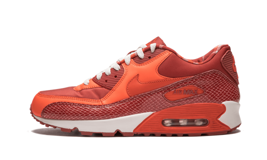 Air Max 90 QK "STEVE NASH"