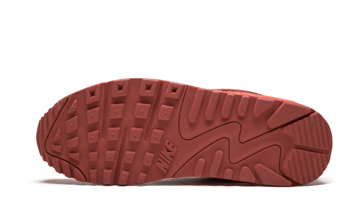 Air Max 90 QK "STEVE NASH"